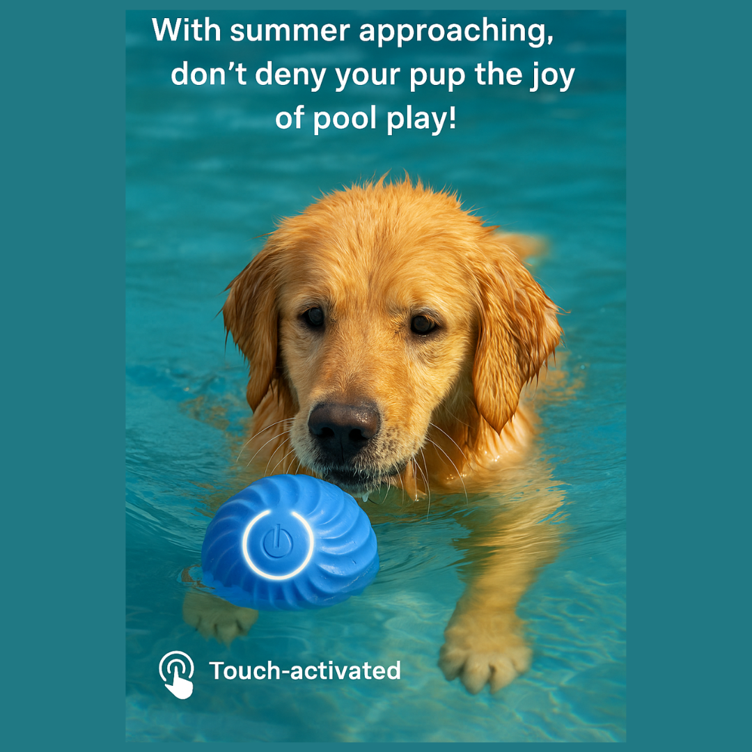 Smart Dog Interactive Pet Toy